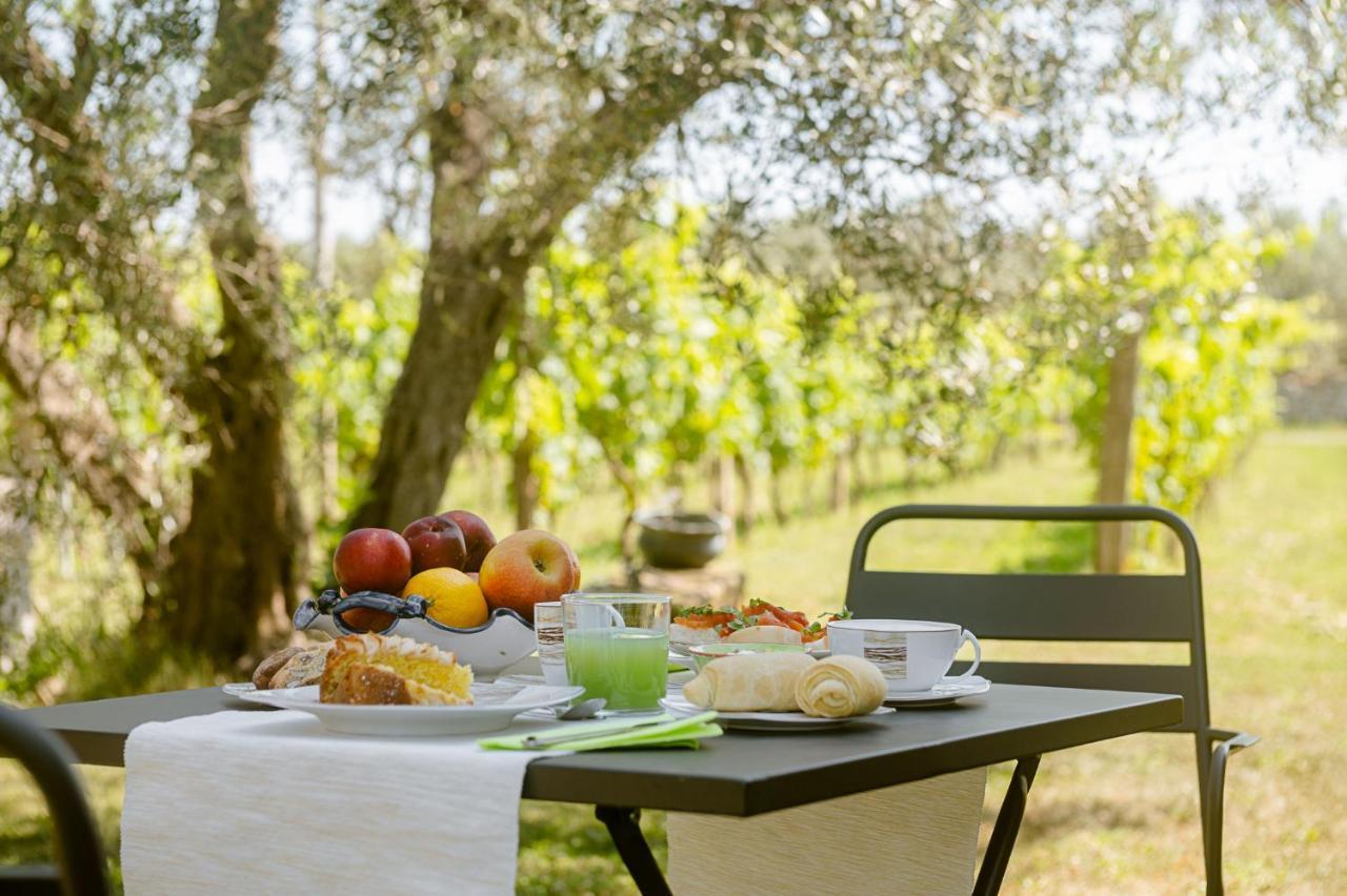 B&B Vallecupa Farnese 外观 照片