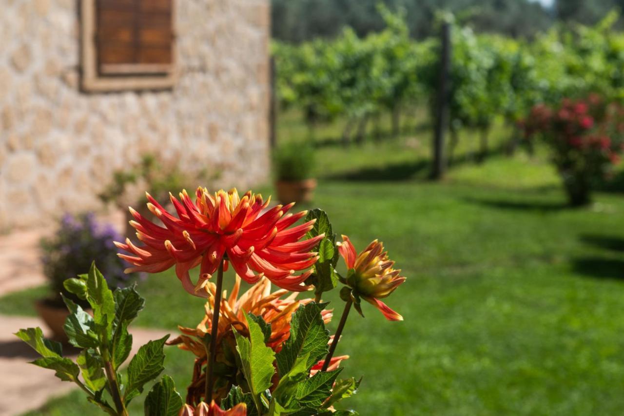 B&B Vallecupa Farnese 外观 照片